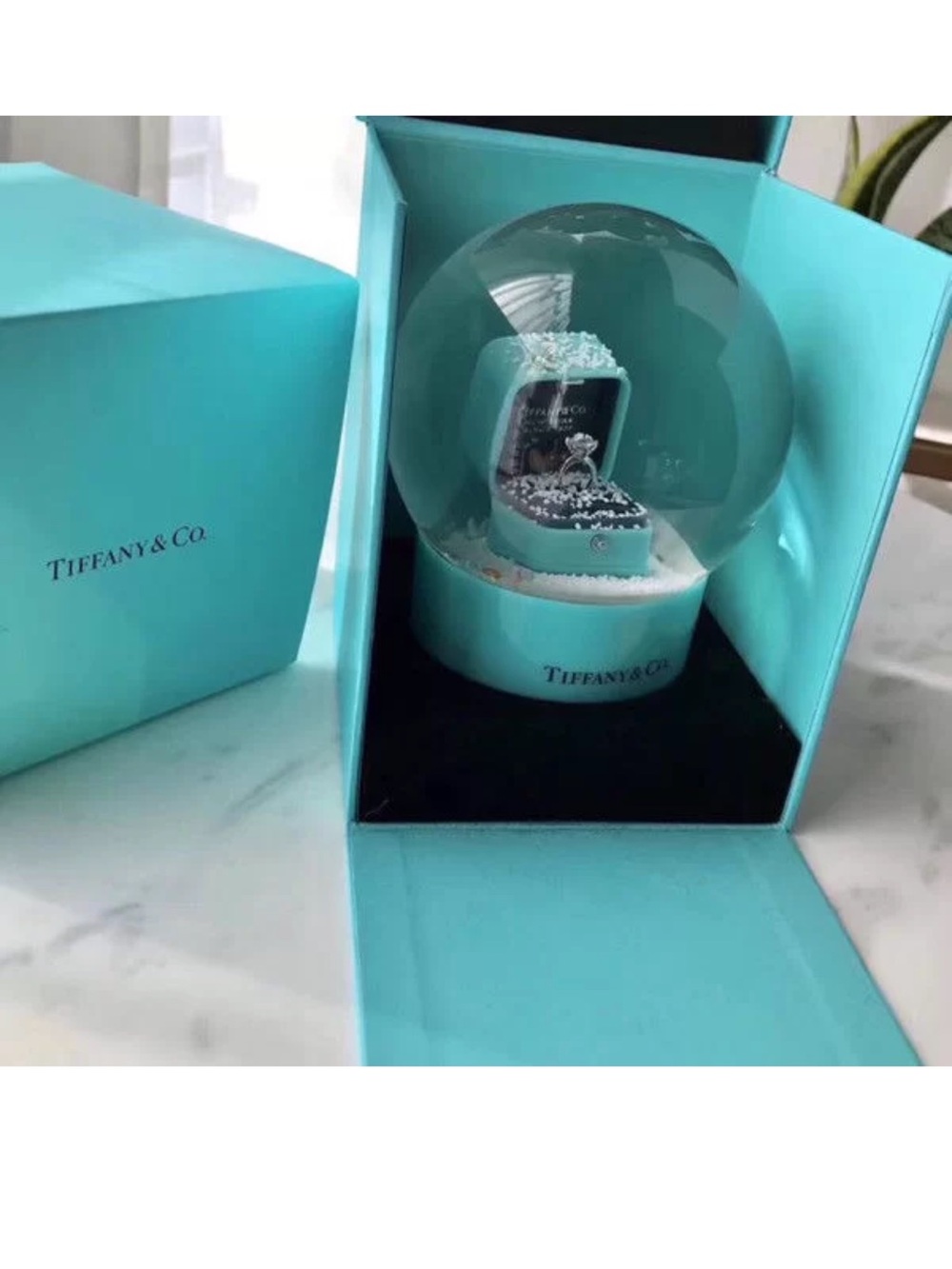 Tiffany & Co. Engagement Ring 💍 Snow Globe